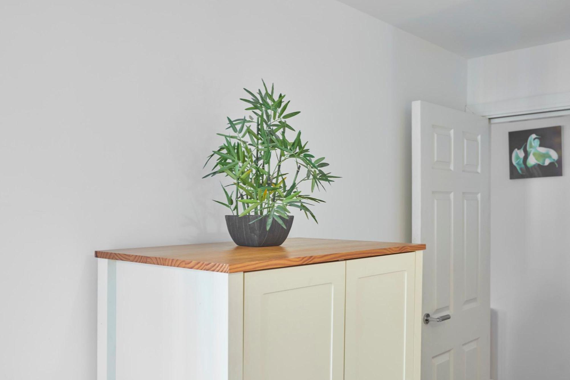 Driftwood Apt 7 Skinningrove Экстерьер фото